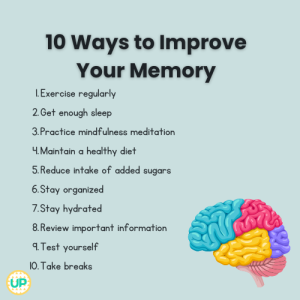 how-to-improve-memory-and-cognitive-function_1.png