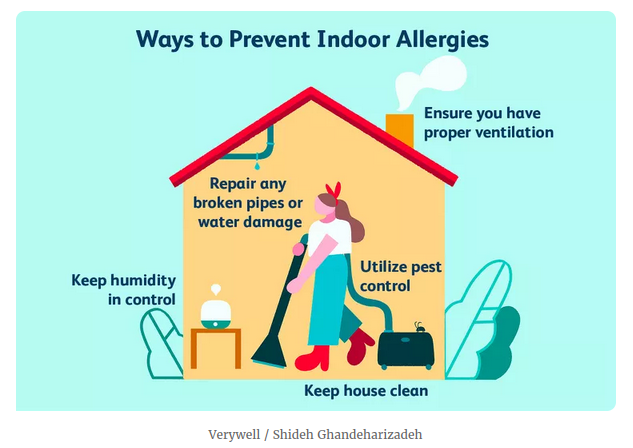 how-to-manage-allergies-throughout-the-year_1.png
